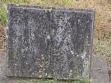 image of grave number 795071